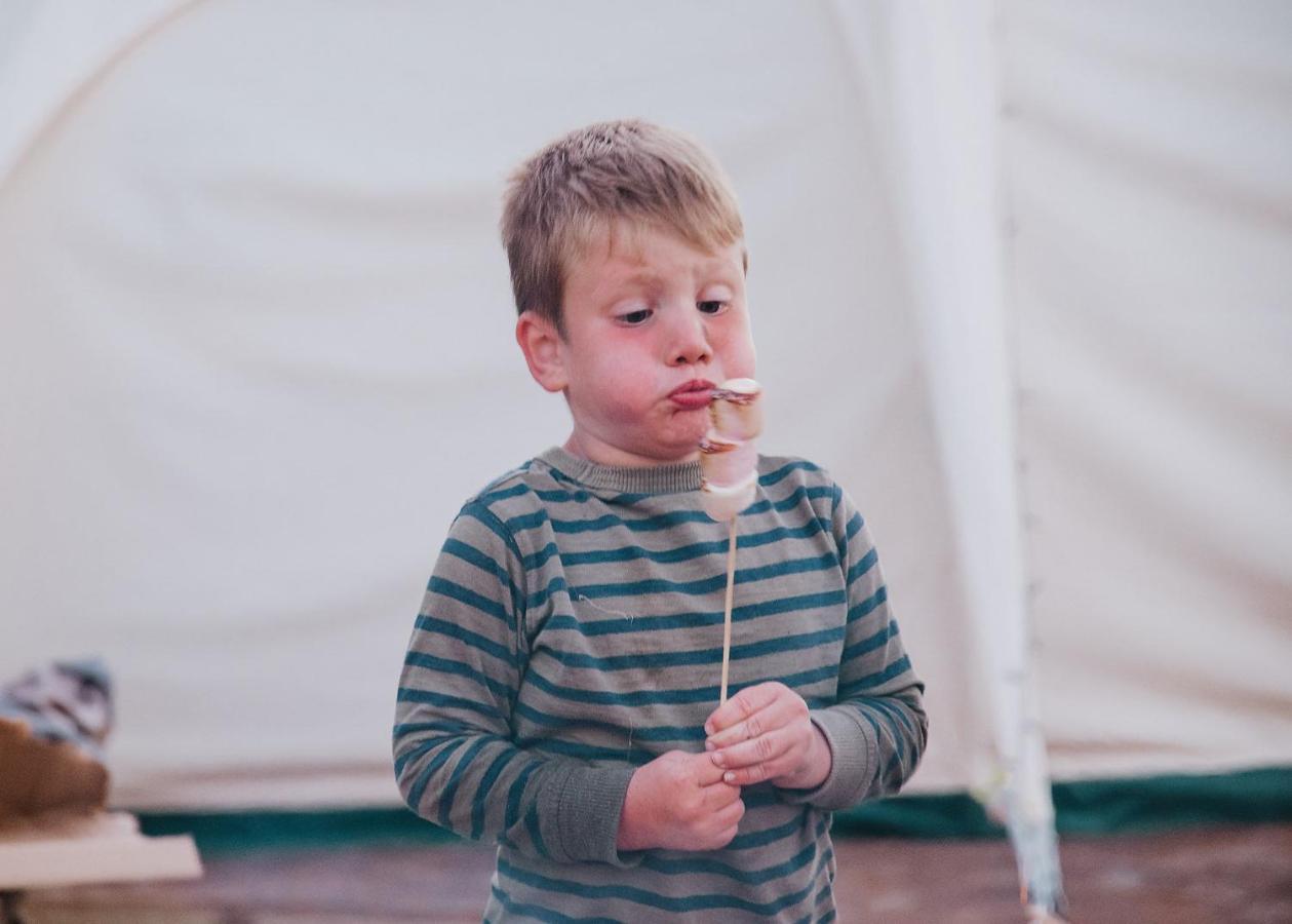 Ty Llewelyn Glamping & Camping Hotel Ланидлойс Екстериор снимка